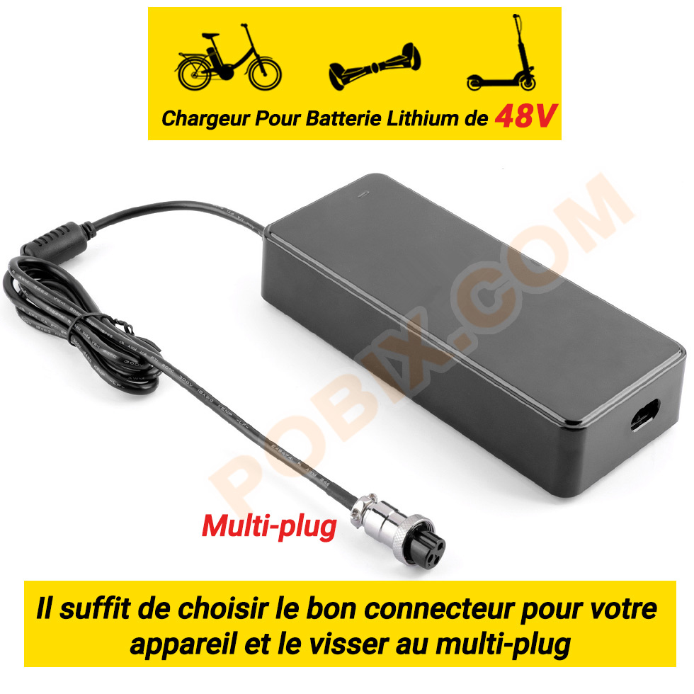 Chargeur de Batterie Multi-Plug 54,6V/2A-110W